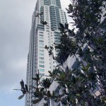 244 Biscayne Boulevard, Miami, Bianco Carrara Venatino